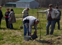 Actions “Clean Environment” and “Plant a Tree”
